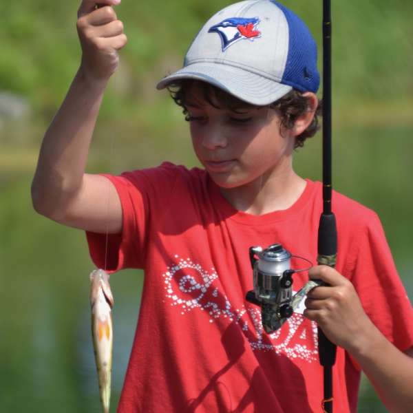 Fishing allowed ONLY from Rocks in Harbours