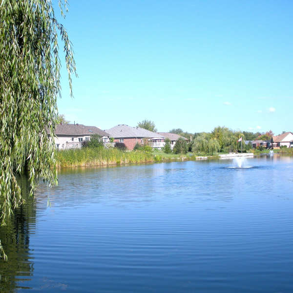 Spraying of Ponds