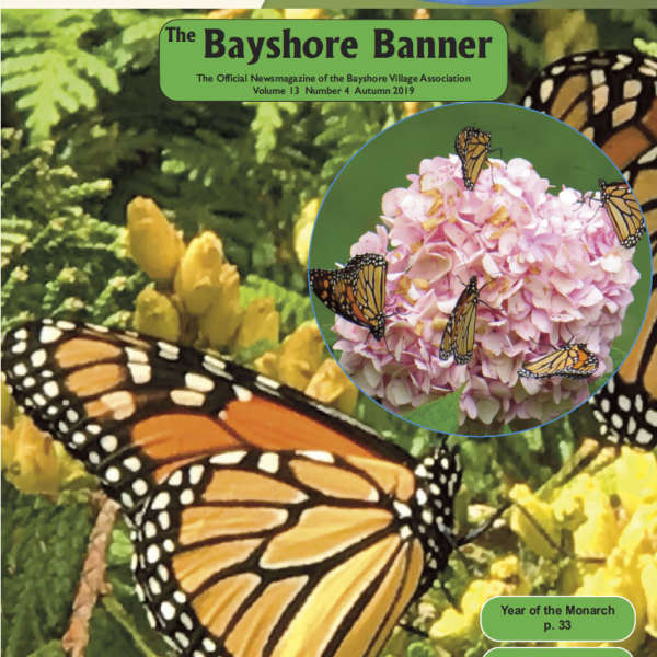 Bayshore Banner Contributions
