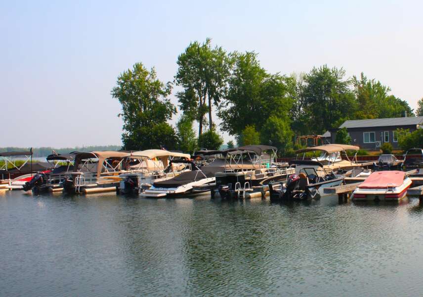 Harbour 33