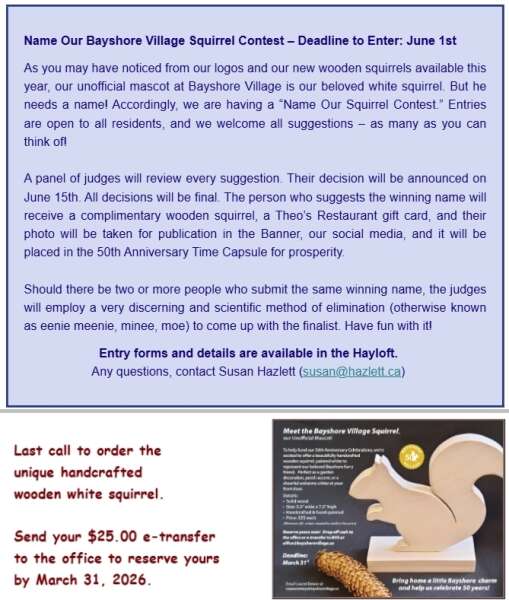 The Name the White Squirrel contest