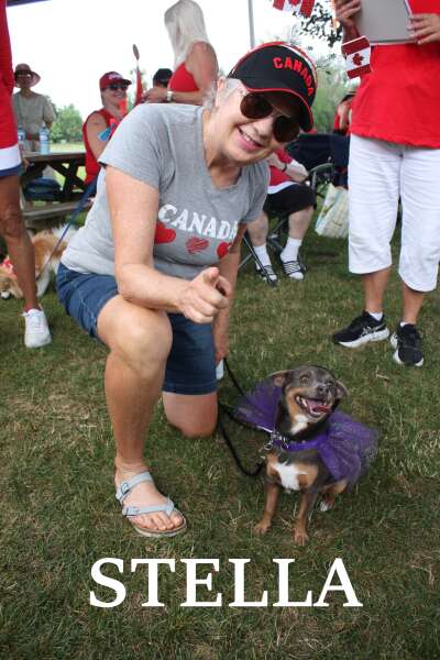 A Roosevelt Terrier / Kathy Alden;