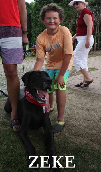 A Great Dane / The Moodley Family
