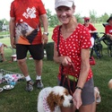A miniature Golden Doodle / Laurel Dewar;