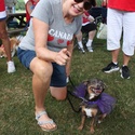 A Roosevelt Terrier / Kathy Alden;