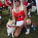 A Pomsky / Krystal Hughes.