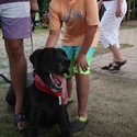 A Great Dane / The Moodley Family