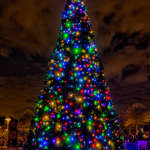 BVC Christmas Tree Lighting Ceremony