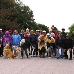 Bayshore Walkers