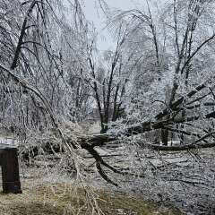 The Great Ice Storm of 