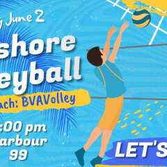 Volleyball (BVAVolley)