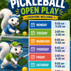 PickleBall BVAPB