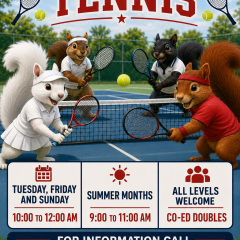 Tennis (BVATNS)