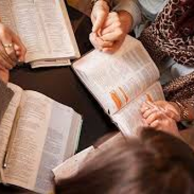 Ladies Bible Study & Chat